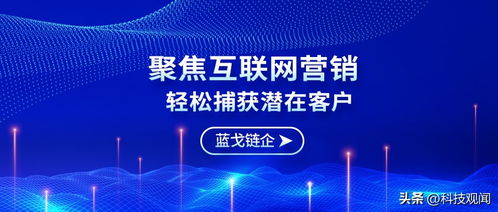 蓝戈链企产品质量、市场份额及发展前景深度剖析