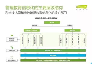 2019年中国教育信息化行业报告 信息技术咨询服务